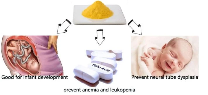 Folic Acid USP Grade Usage